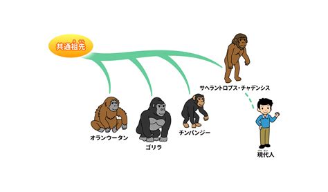 貴人|貴人(ウマヒト)とは？ 意味や使い方